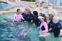 Miami Seaquarium Dolphin