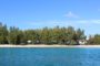 Bimini Island Trees