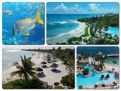 1 Day Bahamas Cruises Packages