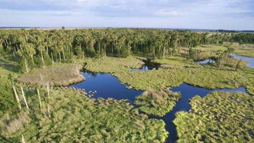 Everglades Holiday Park