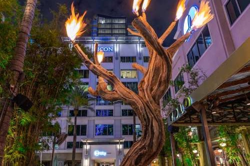 YOLO Restaurant Fort Lauderdale