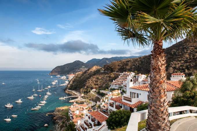 Catalina Island